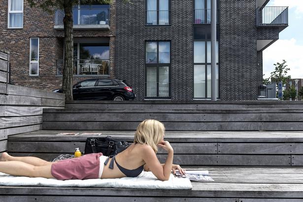 Den nye del af Sydhavnen er velegnet solbadning og kulørte blade. 