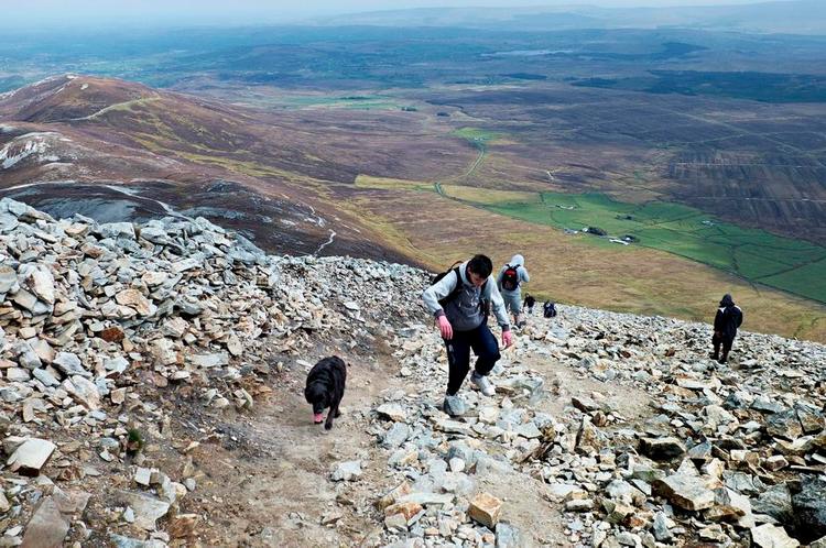 BJERGVANDRING. På 'Reek' Sunday sker det, at vandrere kommer til skade eller bliver syge og må transporteres ned i helikopter. Hunden Snoopy klarede dog turen uden problemer. 