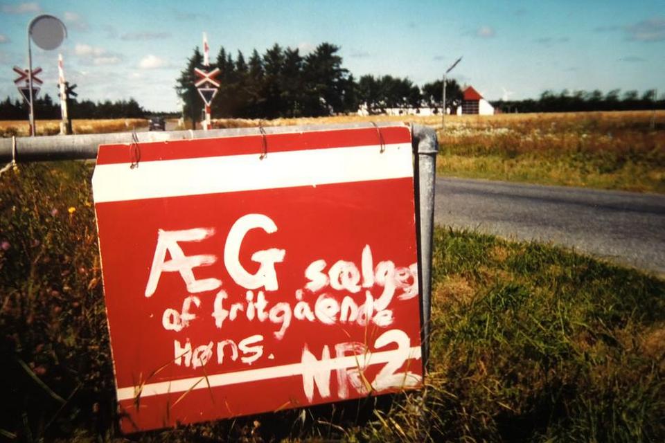 FORETAGSOMHED. På cykelrundturen i Hirtshalsområdet stødte vi ind i dette skilt, der fortæller om høns med særlige egenskaber. Vidunderligt, at høns kan opdrages til fritgående at sælge ud af deres æg. Læserfoto: Finn Gunst 