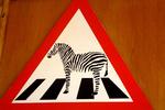 SPROGHJÆLP. I kystbyen Hermanus i Sydafrika skulle vi have lidt at spise på en lokal restaurant, og her så vi dette skilt hænge på væggen. Logikken er jo god nok: Zebra crossing betyder fodgængerovergang på engelsk. Læserfoto: Erik Nielsen, Højby 
