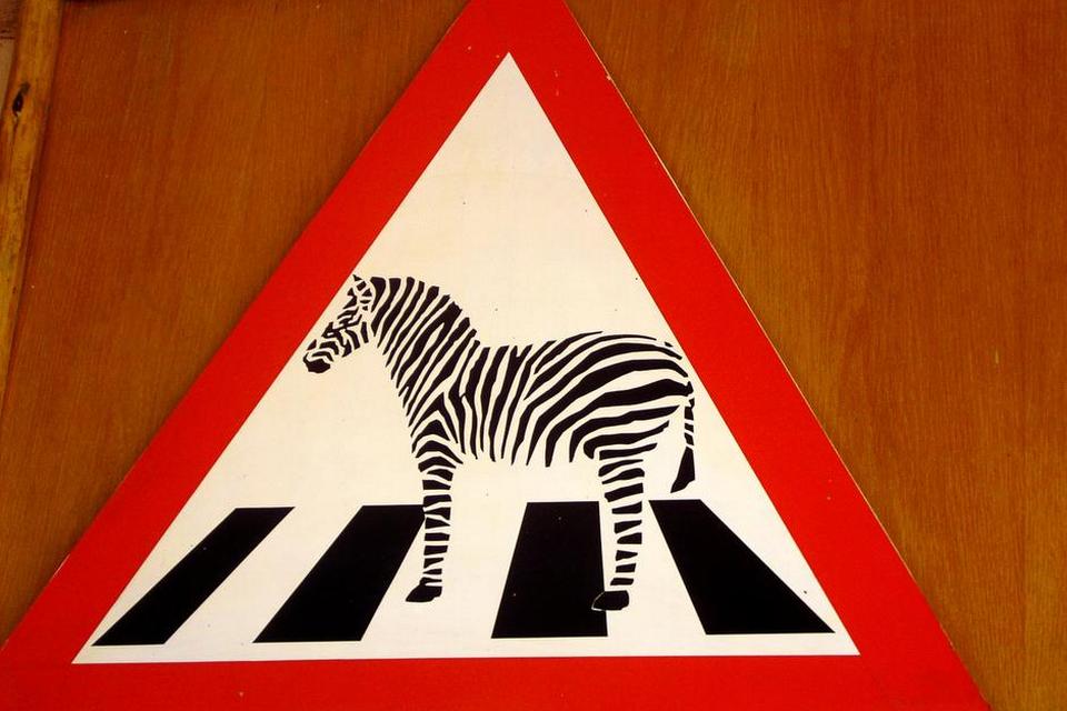 SPROGHJÆLP. I kystbyen Hermanus i Sydafrika skulle vi have lidt at spise på en lokal restaurant, og her så vi dette skilt hænge på væggen. Logikken er jo god nok: Zebra crossing betyder fodgængerovergang på engelsk. Læserfoto: Erik Nielsen, Højby 