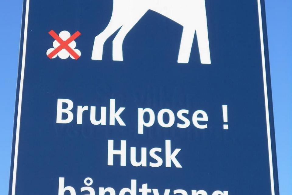 HUNDERÅD. Lufthavnen i Tromsø -  et budskab, der er til at forstå. Læserfoto: Anne Marie Dinesen 