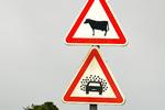 UKENDT. På Azorerne, stødte vi på disse skilte, som vi ikke lige havde set før. Vi fandt ikke ud af, hvad kombinationen af de to skilte betød, men vores gæt gik på alt fra risiko for meget store fluer, spredt kolort eller pludselig hårdtslående tåge. Læserfoto: Pia Ølgaard 