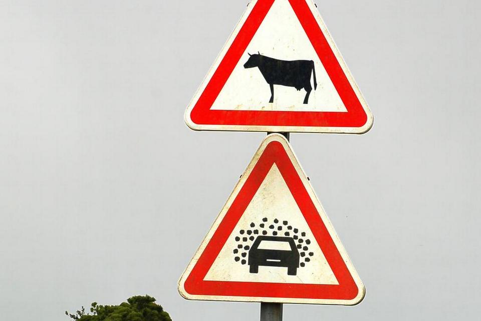 UKENDT. På Azorerne, stødte vi på disse skilte, som vi ikke lige havde set før. Vi fandt ikke ud af, hvad kombinationen af de to skilte betød, men vores gæt gik på alt fra risiko for meget store fluer, spredt kolort eller pludselig hårdtslående tåge. Læserfoto: Pia Ølgaard 