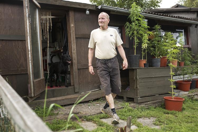 Lars Jensen, Lorterenden, Sydhavnen
