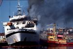 Norsk politi har ikke fundet beviser for, at det var besætningsmedlemmer på færgen Katastrofe. Scandinavian Star, der stod bag den brand på skibet, som 7. april 1990 kostede 159 personer livet.  Arkivfoto. 