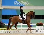 OL i Rio 2016 - Dressur hold