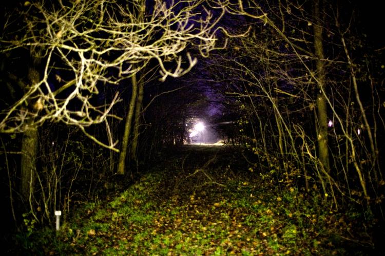 RETSSAG. En ung kvinde og tre unge mænd - samt flere vidner - har meget forskellige opfattelser af, hvad der skete under en ungdomsfest i Herfølge. 