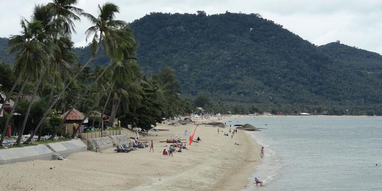 Advarsel. Skilte er sat op på flere strande på den populære turistø Koh Samui, efter flere er blevet stukket af gopler. 