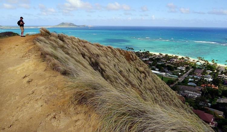 EKSOTISK. En ferie på Hawaii kræver omkring 30 timers flyvning fra Danmark. Men så kan man vandre op i bakkerne og få denne udsigt over Kailua Bay. 