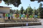Ex-Stanford Swimmer Rape