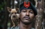 Oprør. Farc blev dannet i 1964 og arbejdede for at revolutionere det colombianske samfund og sikre en mere ligelig fordeling af goderne. 