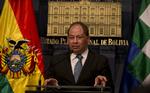 Dræbt. Bolivias viceindenrigsminister, Rodolfo illanes, er blevet banket til døde af minearbejdere i landet, der er ramt af strejke blandt netop den arbejdsgruppe. 