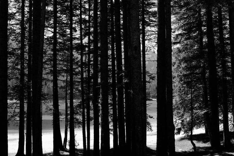 Foto: Anders Legarth Schmidt 
