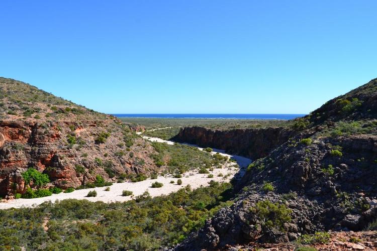 VILDNIS. Cape Range nationalpark kan være et stop på et road trip i det vestlige Australien. 