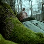 LYT. Peter Wohlleben har et nært forhold til naturen og dens faste beboere. Foto: Miriam Dalsgaard 