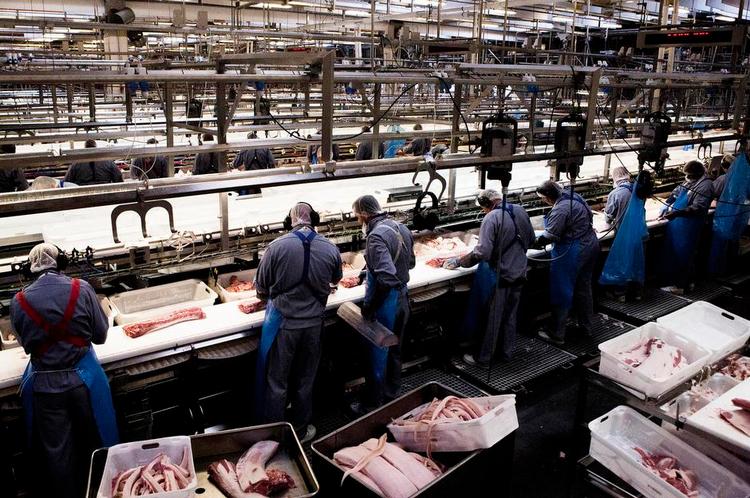 Slidsomt. Mange bliver slidt op af tungt arbejde og har svært ved at blive ved, til de når folkepensionen. Den nye ordning skal hjælpe nogle af dem. 