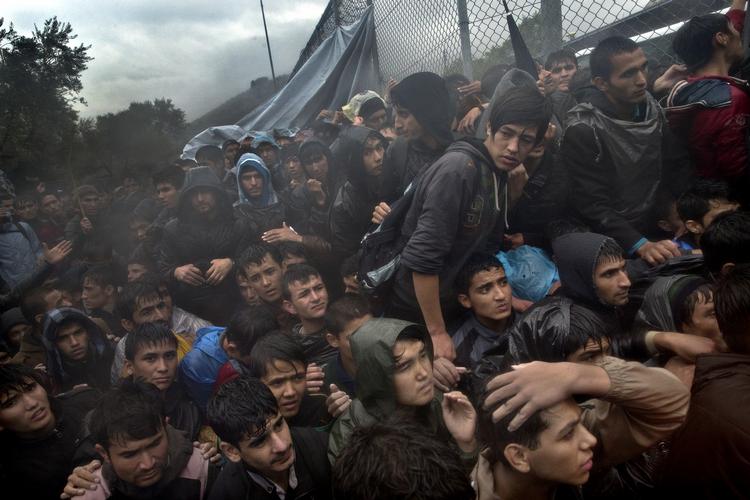 Sårbare. Nogle af de mange tusinde syriske flygtninge i de græske flygtningelejre bliver ofre for Islamisk Stats radikalisering, siger Europol. Her ses flygtninge på den græske ø Lesbos. 