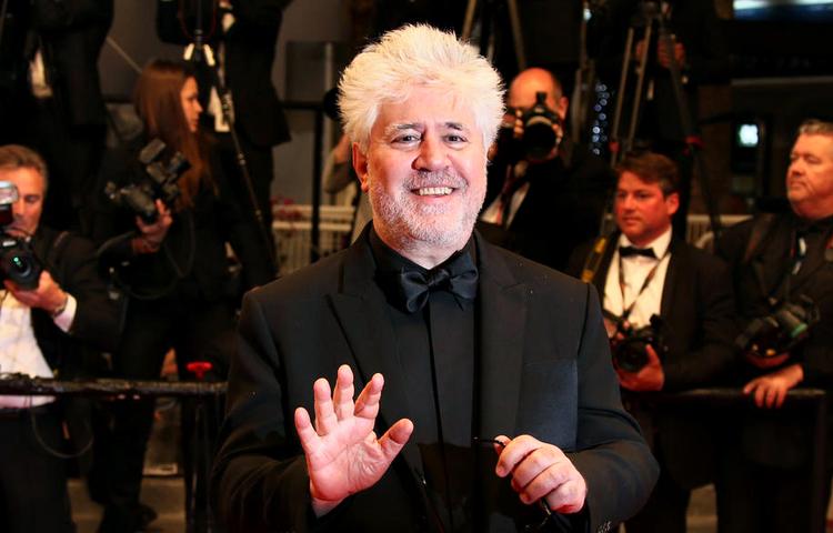 tyr. Pedro Almdóvar identificerer sig både med tyrefægteren og tyren. 