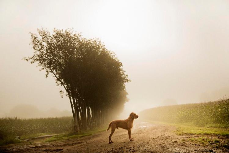 MORGENDIS. Foto: Jakob Carlsen 