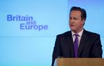 Eftermæle. David Cameron vil af historien blive husket for at have tabt slaget om Brexit, mener to eksperter. 