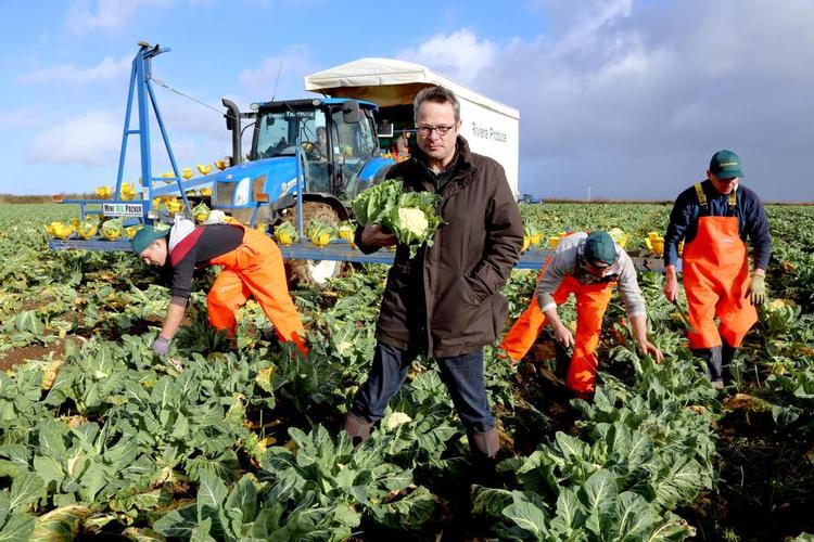 Ildsjæl. Hugh Fearnley-Whittingstall i programmet 'Hughs kamp mod madspild'. Britisk dokumentar fra 2015. 