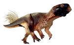 Farvelagt. Psittacosaurus var på størrelse med en labrador og kunne ikke prale af sin størrelse blandt dinoerne. Men hvis den levede kunne den nu bryste sig af at være den første dinosaur uden fjer, der har fået afsløret, hvilke farver den bar. Ideelle farver til at gemme sig i skoven, antyder ny forskning. 