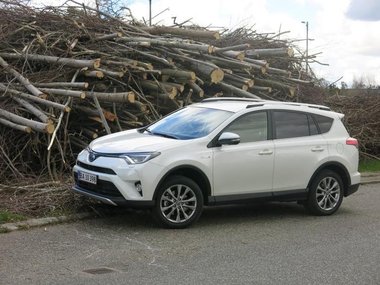 ALSIDIG. Toyota RAV4 i hybridudgave kan fås med firehjulstræk, så man kan godt køre den lidt ud i terrænet. 