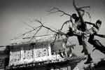 "Caught between war and famine" Somalia 2012