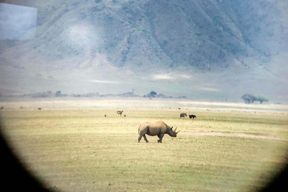 Serengeti023.JPG