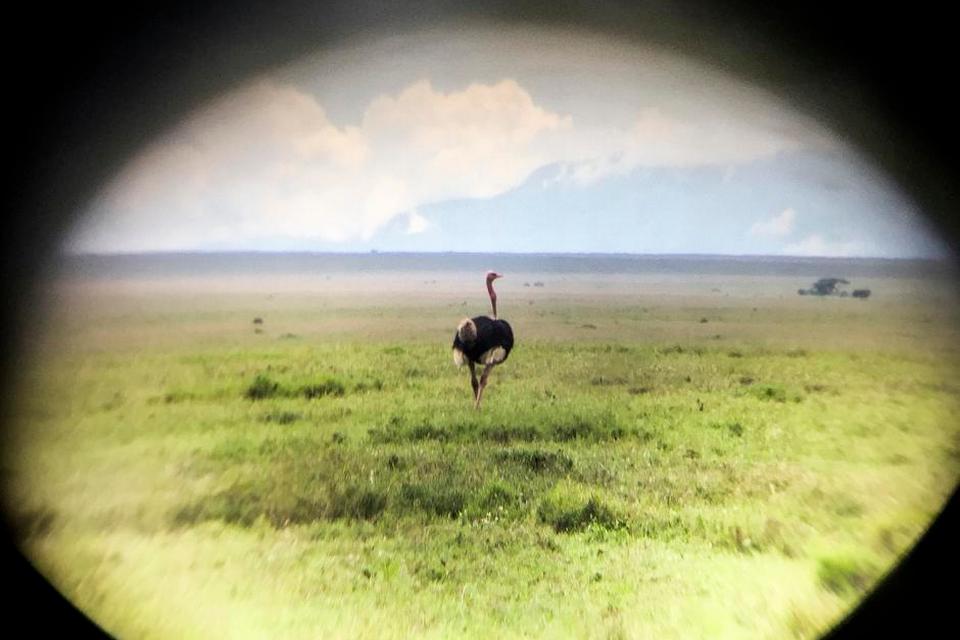 Serengeti013.JPG