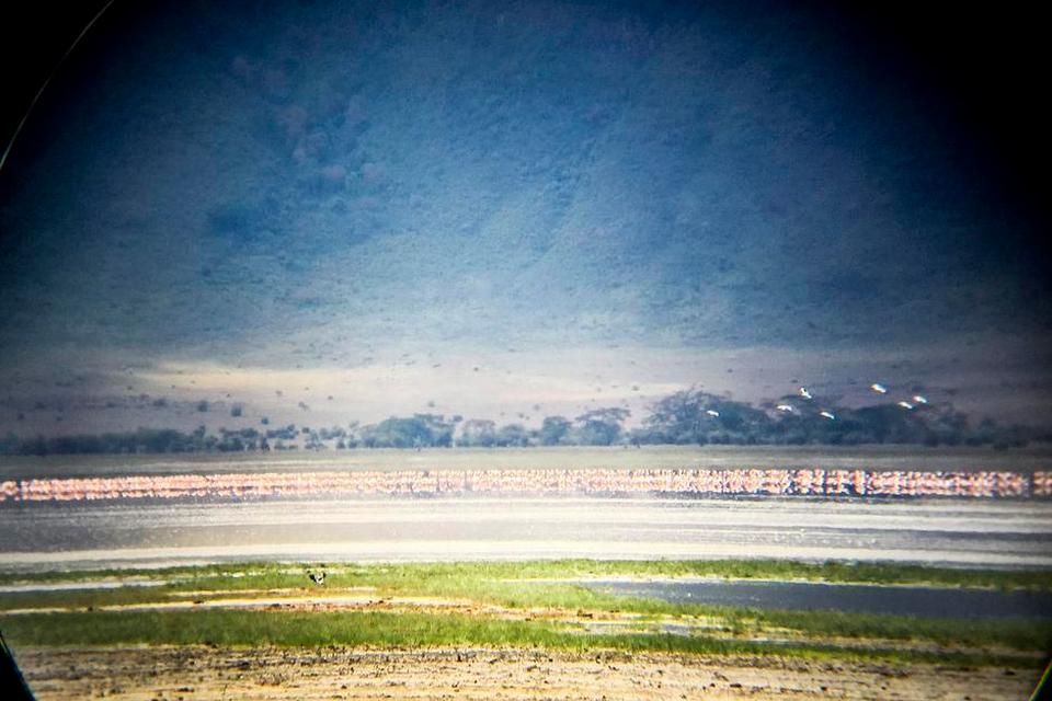 Serengeti015.JPG