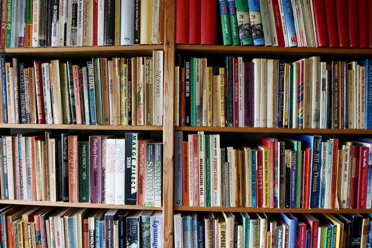 Bøger. Arkivfoto: Carsten Ingemann 
