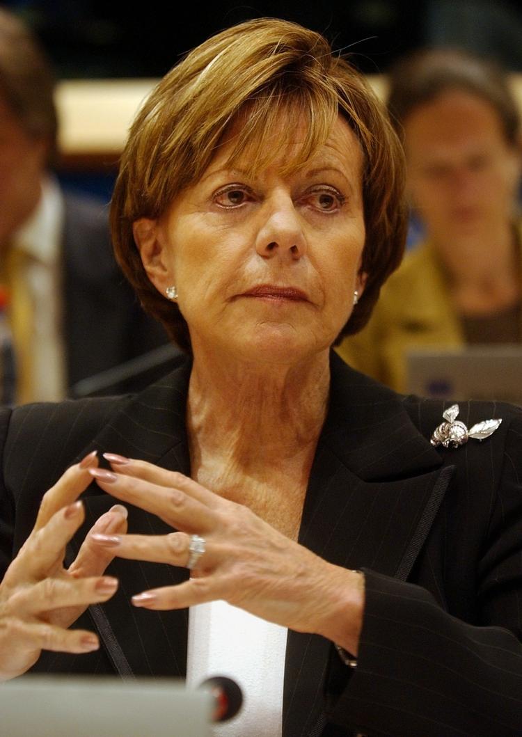 Skjult. Neelie Kroes tav om Bahamasselskab, da hun blev EU-Kommissær i 2004. 