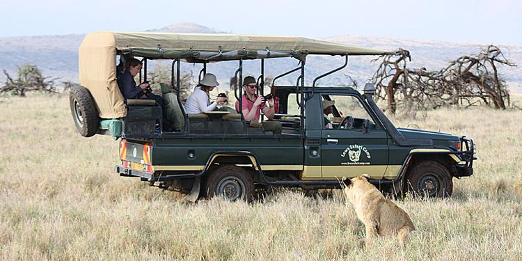 Dyrskue. Lewa Wildlife Conservancy i Kenya er et af de steder i det Østlige Afrika, hvor du kan komme helt tæt på dyrene. 