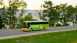LAVPRIS. Tyske Flixbus vil næste år være en skarpere konkurrent til DSB og andre busselskaber i Danmark. 