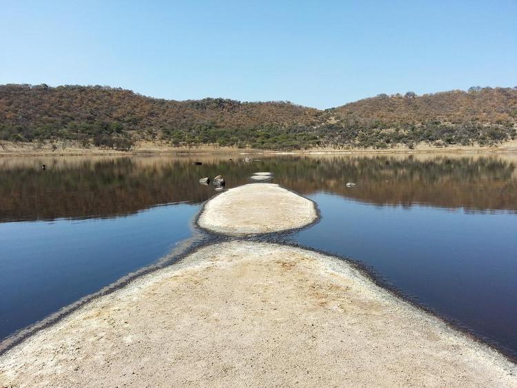 Naturskønt. Turen rundt om kraterkanten på Tswaing er 7,2 kilometer. Og der er masser af dyrliv undervejs. Foto: Signe Ravn 