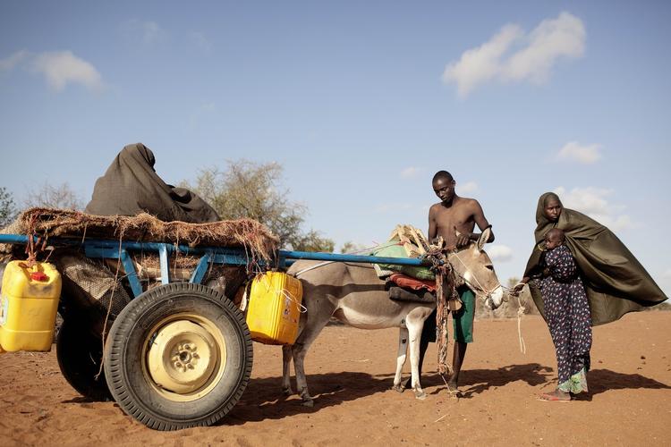 FØDEVAREFORSYNING. Der skal produceres mere mad under sværere betingelser frem mod 2050. Men hvordan? 