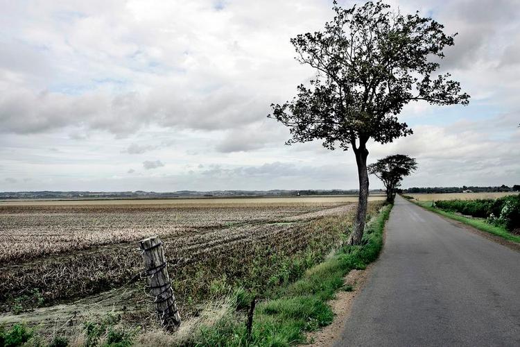 SCENISK. Den smukke Margueritrute med naturoplevelser langs Danmarks landeveje bliver nu til et stort motionsløb i starten af oktober. Foto: Sebastian Zamorski 