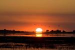 Botswana.  At sejle i en mokoro (udhulet træstamme) i Okawangodeltaet i solnedgangen er noget af det smukkeste, man kan forestille sig, og stjernehimlen i Afrika syner uendelig. Læserfoto: Kirsten Hansen 