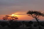 Tanzania. Dette er en smuk solopgang over Serengeti i februar 2015 lige før solens lys bryder helt igennem og dagen vågner. Læserfoto: Mette Blichfeldt, Bogense 