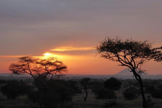 Tanzania. Dette er en smuk solopgang over Serengeti i februar 2015 lige før solens lys bryder helt igennem og dagen vågner. Læserfoto: Mette Blichfeldt, Bogense 