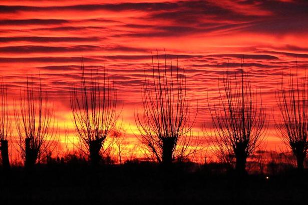 Sjælland. Solopgang over Kildebrønde på Østsjælland med stynede popler i forgrunden. Billedet er taget en kold januar morgen. Læserfoto: Finn Kromann, Greve 
