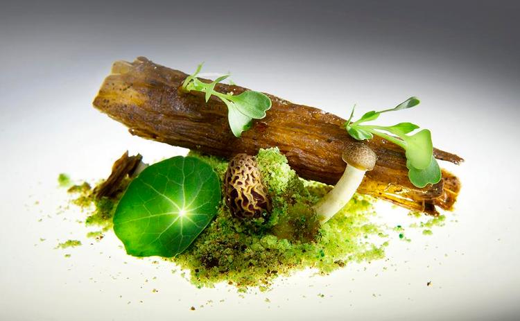 Natur. 'Magic mushroom' hos Gaggan, hvor træstubben er skabt af skovsvampe. En thai-variant af Noma-tanken. PR-foto: Gaggan