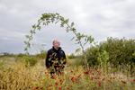 NATURBY. På Amager Fælled skal der bygges en bydel, hvor vilde planter og dyr skal være helt tæt på husene. By &amp; Havns direktør Jens Kramer er klar over, at det er kontroversielt at bygge oven på sjældne planter. Foto: Finn Frandsen 