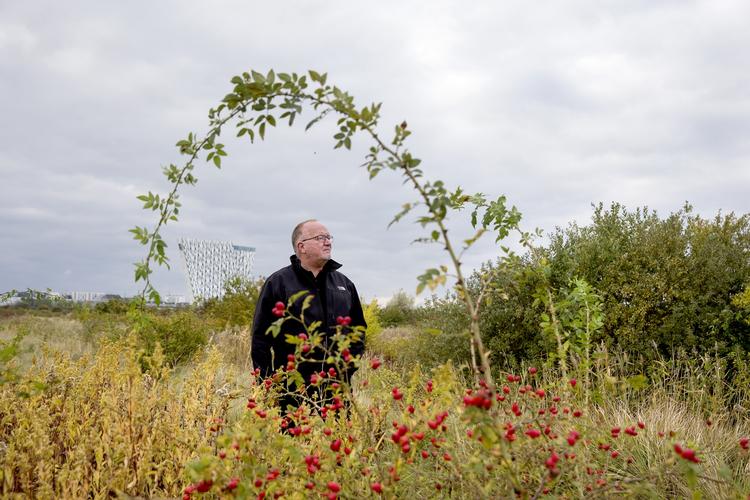 NATURBY. På Amager Fælled skal der bygges en bydel, hvor vilde planter og dyr skal være helt tæt på husene. By &amp; Havns direktør Jens Kramer er klar over, at det er kontroversielt at bygge oven på sjældne planter. Foto: Finn Frandsen 