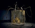 kribleri. Louise Bourgeois' mor arbejdede ved væven – og blev bedraget af sin mand. Så edderkoppen symboliserer den hårdtarbejdende kvinde og er et af Bourgeois' mange forsøg på at uddrive barndommens traumer. 
