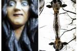Selv giraffen blev pyntet op til halloween. 