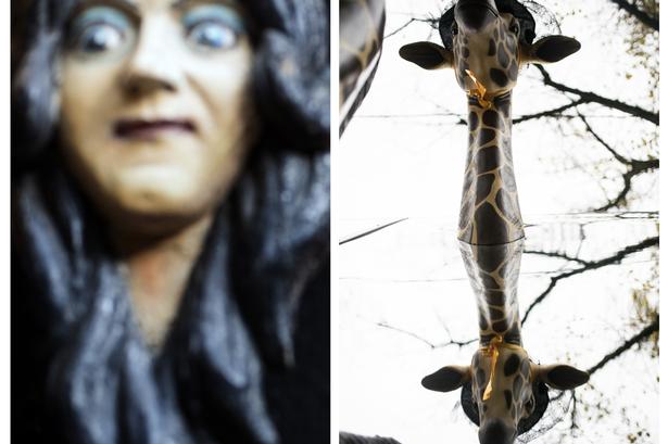 Selv giraffen blev pyntet op til halloween. 