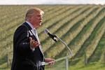 Trump i vinmarke